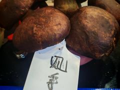 -草墩罗非鱼庄•野生菌•腊排骨(七星街上段店)