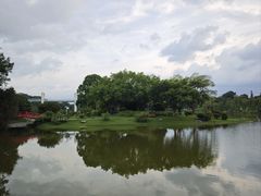 -东莞植物园