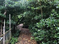 -东寨港红树林旅游区