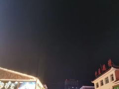 -小桂林烧鸽子