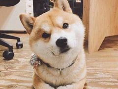 -吉野家(567漫天地店)