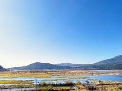 -腾冲北海湿地