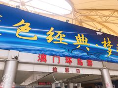 -澳门环岛游湾仔码头