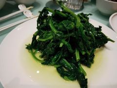 酒香豆苗-新吉士·上海菜(浦东LCM置汇旭辉店)