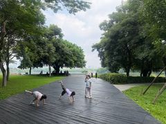 -海珠湖公园
