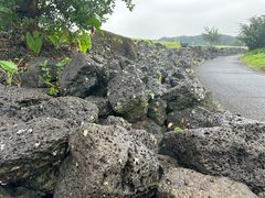 -海口火山口国家地质公园