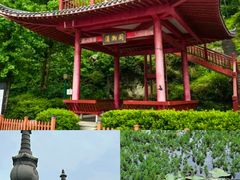 -长沙黑麋峰国家森林公园