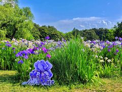 -上海共青森林公园