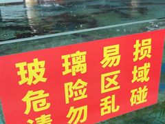 -力力渔港涉外店