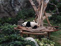 -香港海洋公园