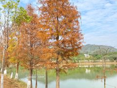-凤岗南门山森林公园