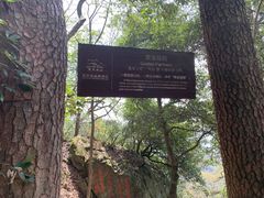 -东天目山风景区