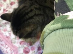 -延成苑韩式烤肉店(长春道店)