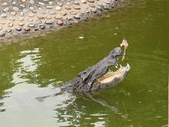 -石家庄市动物园