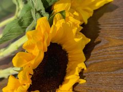 -阿波金锅贴(官渡古镇店)