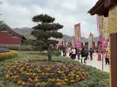 -横店圆明新园