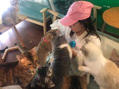-李小姐の猫咖啡馆(五角场店)