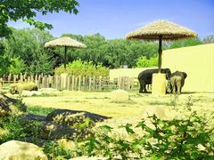 -沈阳森林动物园