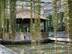 -常州花鸟园酒店(西太湖品牌优选店)