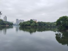 -沙市市中山公园