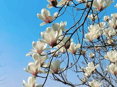 -云龙湖旅游景区