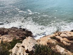 -广东惠东海龟国家级自然保护区
