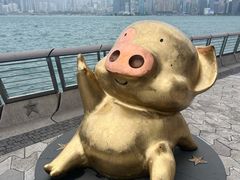-星光大道