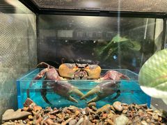 -太平洋海底世界