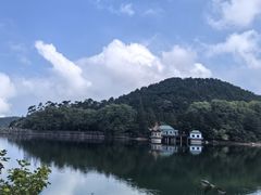 -望庐说·本地菜馆