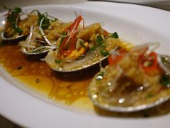 豉油鲍鱼扇贝-鲨鱼醉鲜坊
