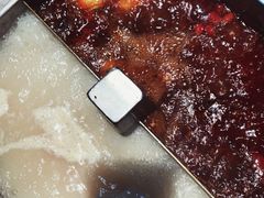 清油双拼锅底-海底捞火锅(顺义华联店)
