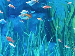 -上海海洋水族馆