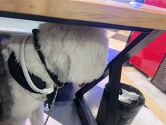 -威海渔村(静安旗舰店)