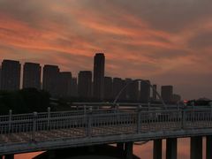 -厦门园林博览苑