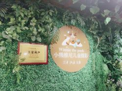 -小熊维尼高端儿童摄影(宝安旗舰店)