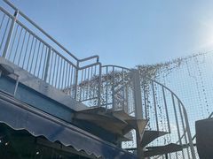 -游心咖啡(青山滨江店)