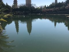 -三塔倒影公园