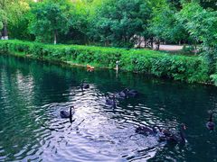 -长白岛森林公园