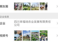-秀丽东方
