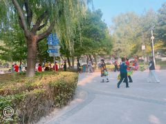 -康庄公园
