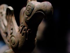 -遇见博物馆(遇见海洋沉浸式奇幻光影展)