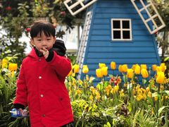 景点-南宫五洲植物乐园