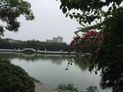 维也纳国际酒店(桂林中山路店)-维也纳国际酒店·广西桂林中山路店