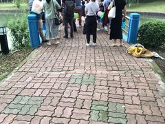 -中央公园(苏州工业园区)