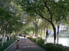 -怡海公园(桂城街道)