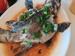 -红月湾海鲜饭店•沙滩海景(双月湾店)