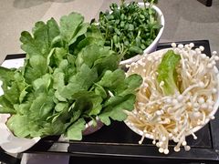 -浩爷羊蝎子火锅(望京店)