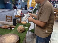 -都念榴莲·城市榴莲