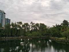 -塔子山公园