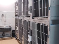 -萌兽医馆·宠物医院·猫骨科(创景店)